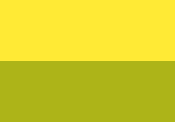 Pigment Yellow 1231